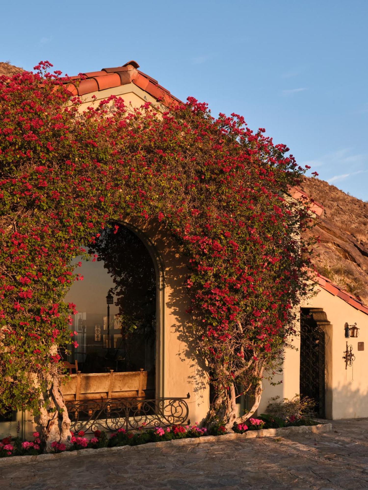 The Willows Palm Springs Exterior photo