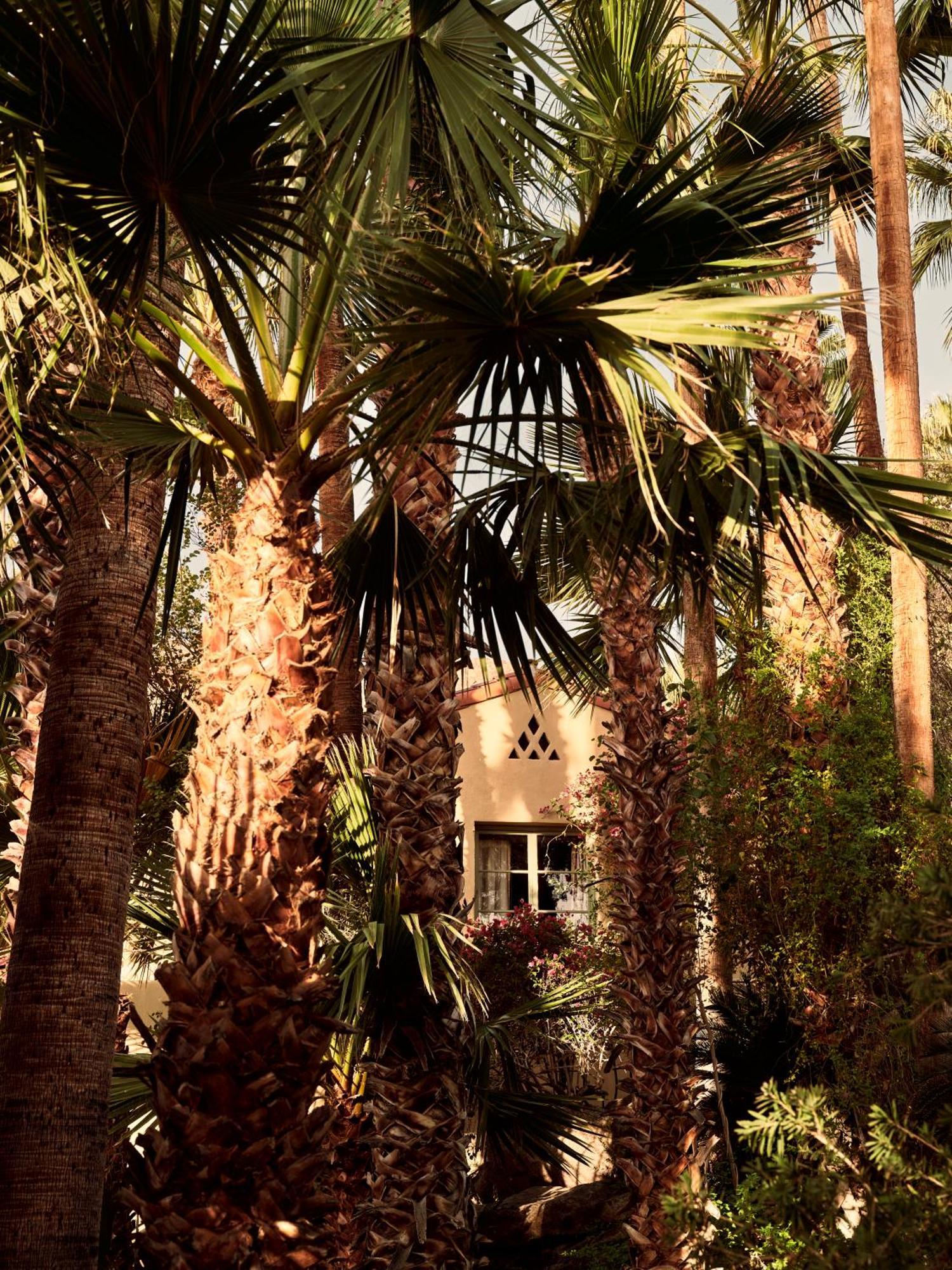 The Willows Palm Springs Exterior photo